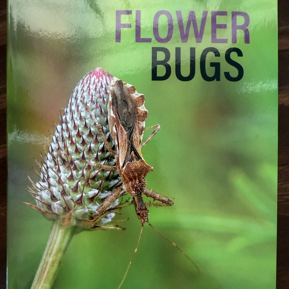 "Flower Bugs: A Guide to Flower-Associated True Bugs of the Midwest" () - Each