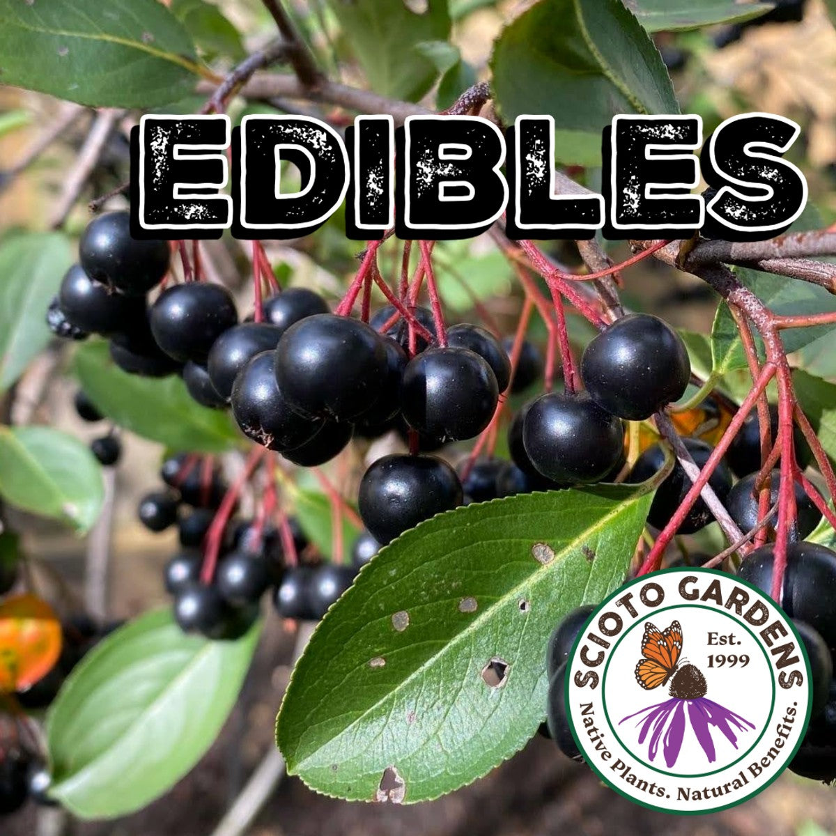 855-CTLG-FULL