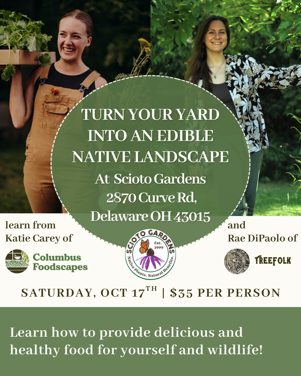 Turn Your Yard into a Native Edible Landscape with Katie Carey