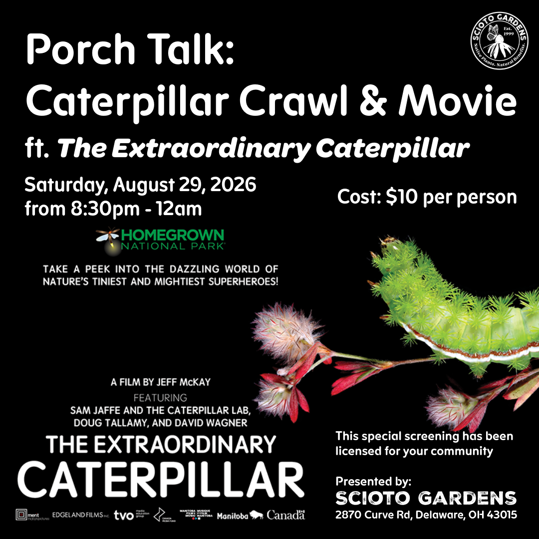 Caterpillar Crawl & Movie