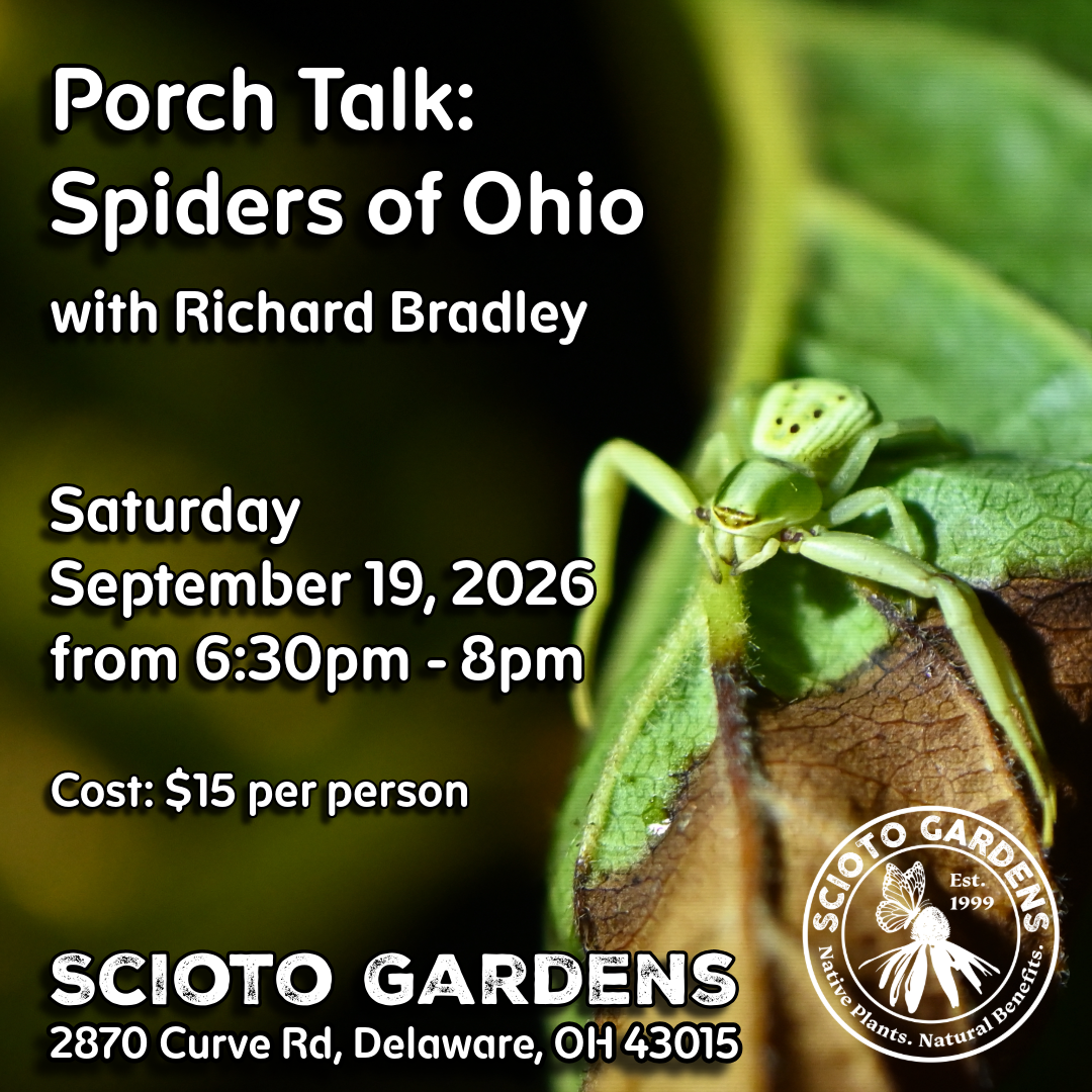 Spiders of Ohio & Spider Hunt with Richard Bradley