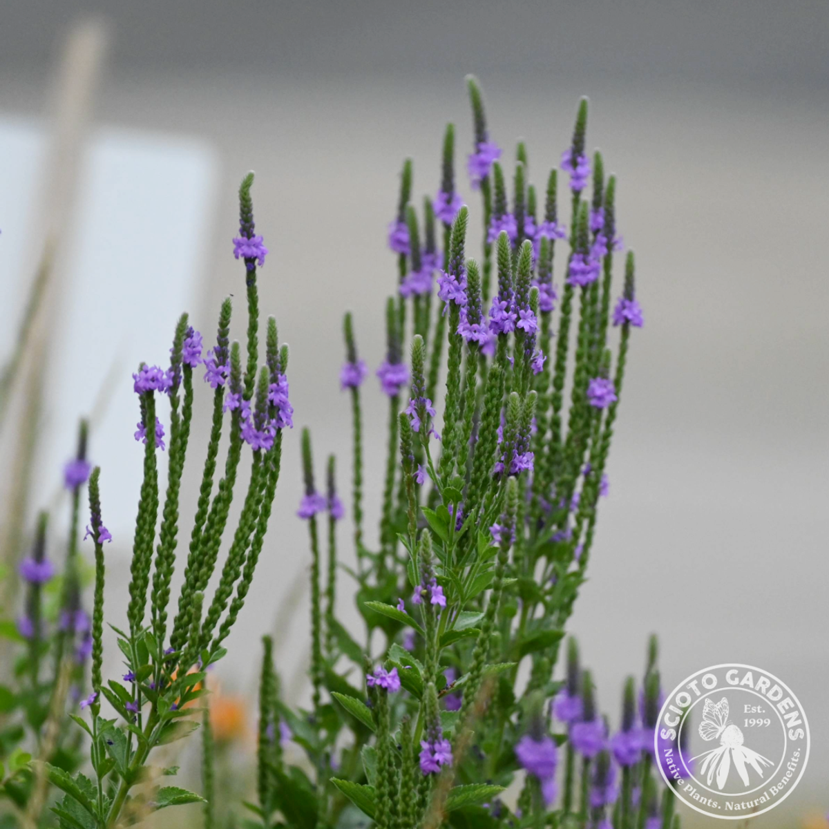 816-CTLG-FULL