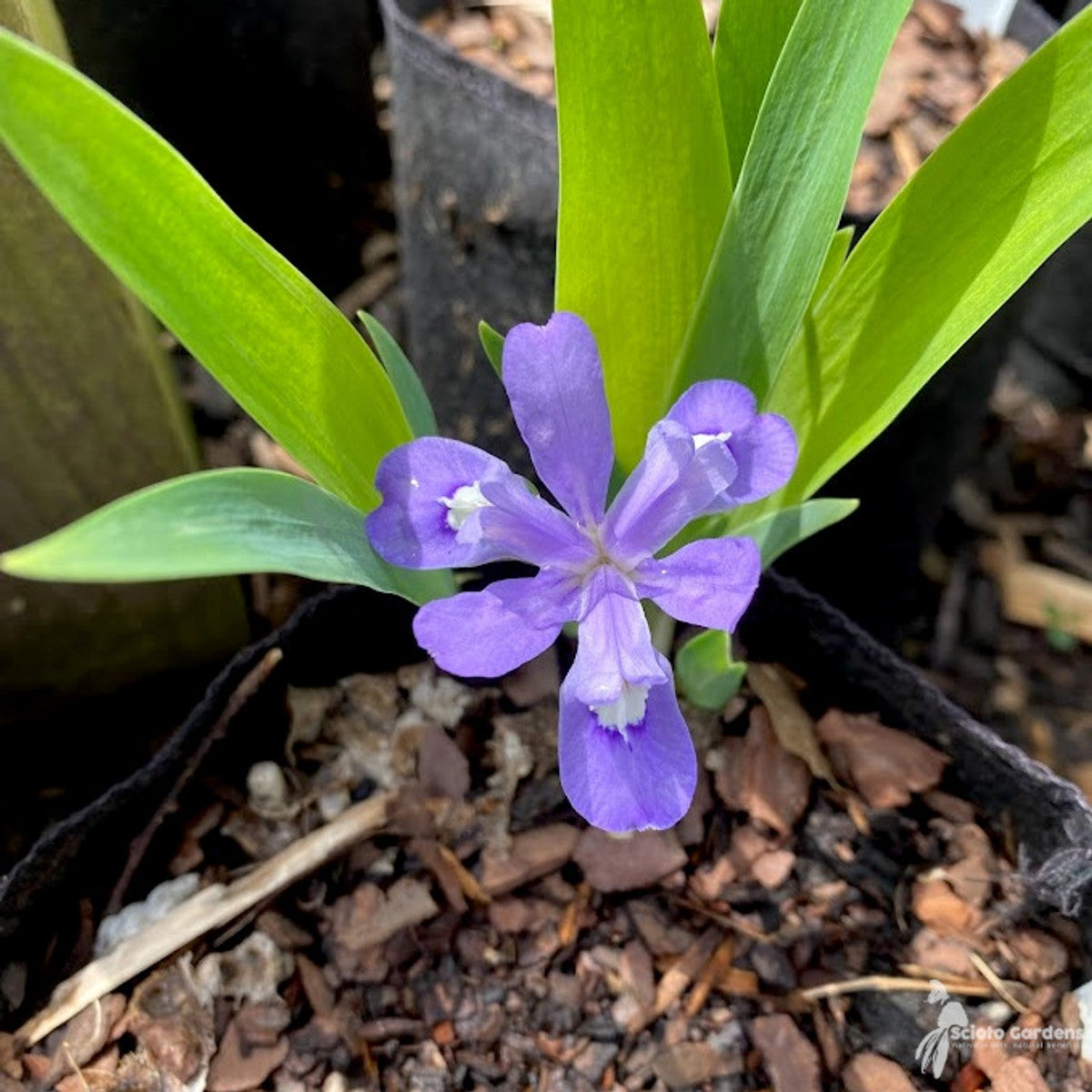 425-CTLG-FULL